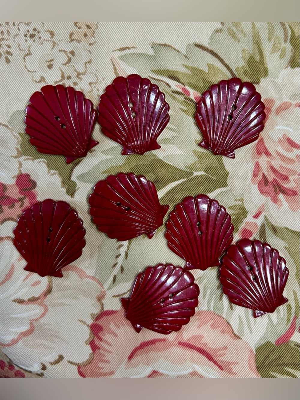 Set of 8 Vintage Bakelite(?) scallop shell buttons